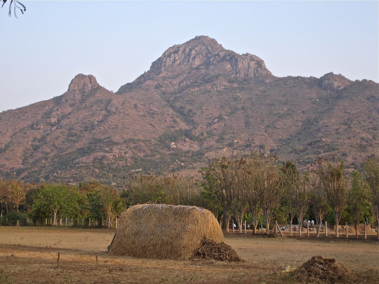 arunachala-120