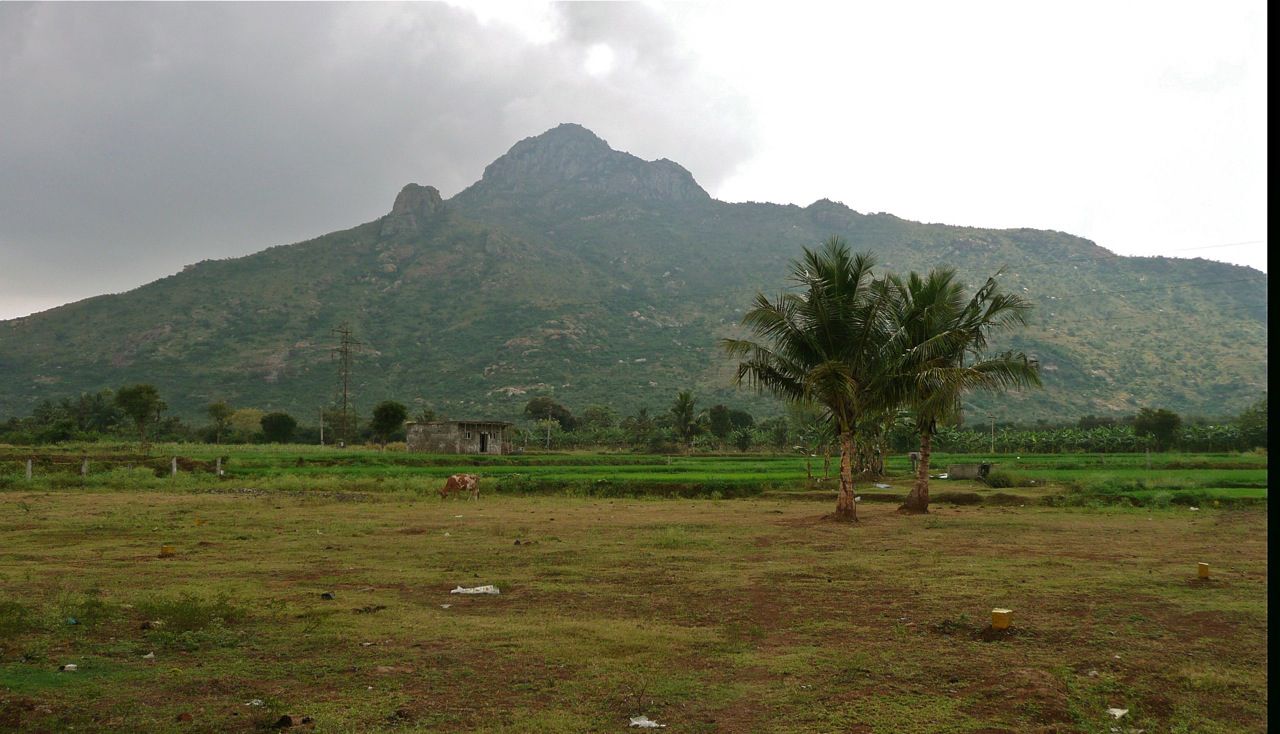 arunachala-133