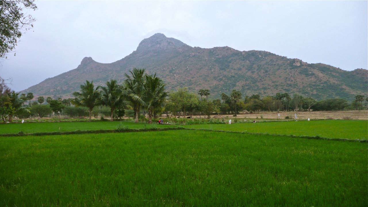 arunachala-139