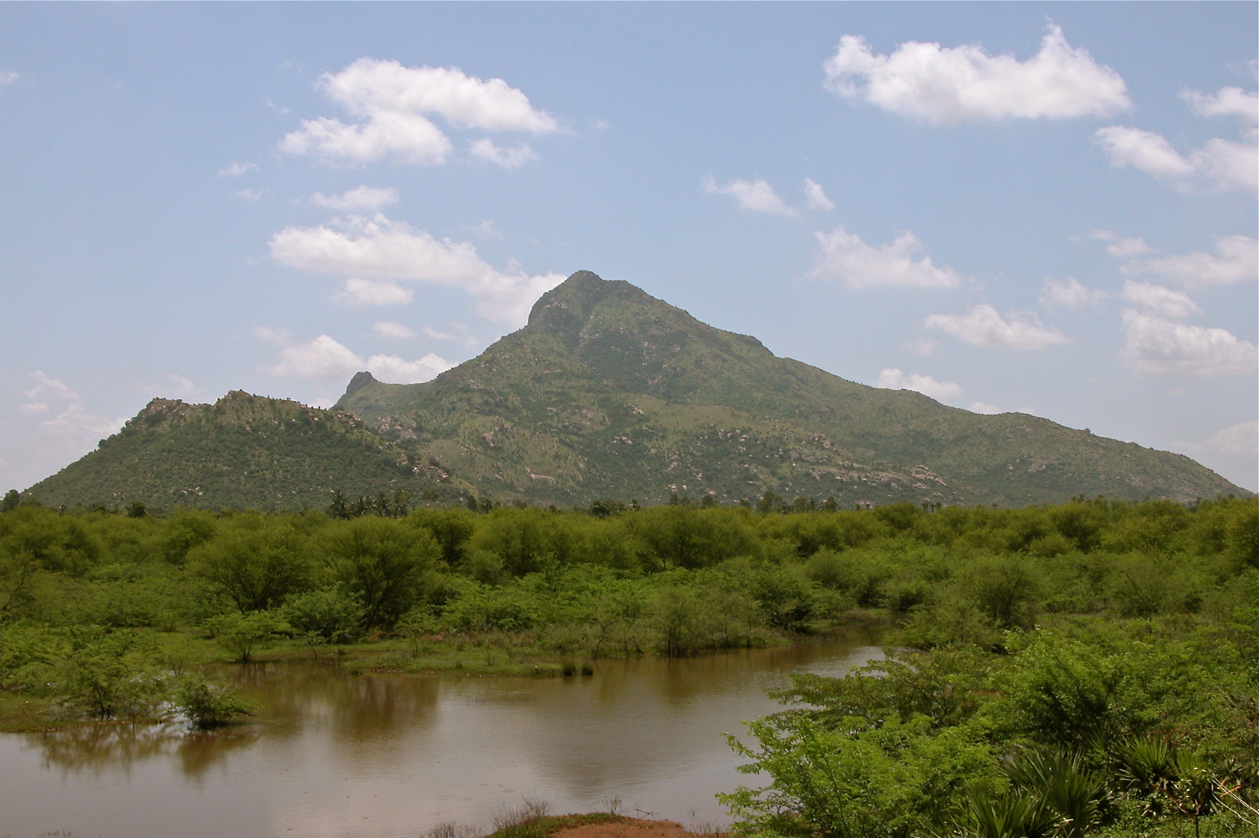 arunachala-150