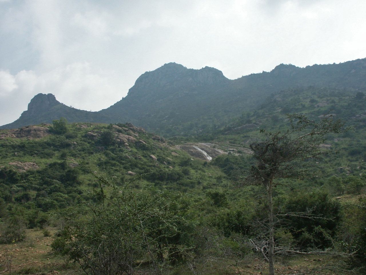 arunachala-151