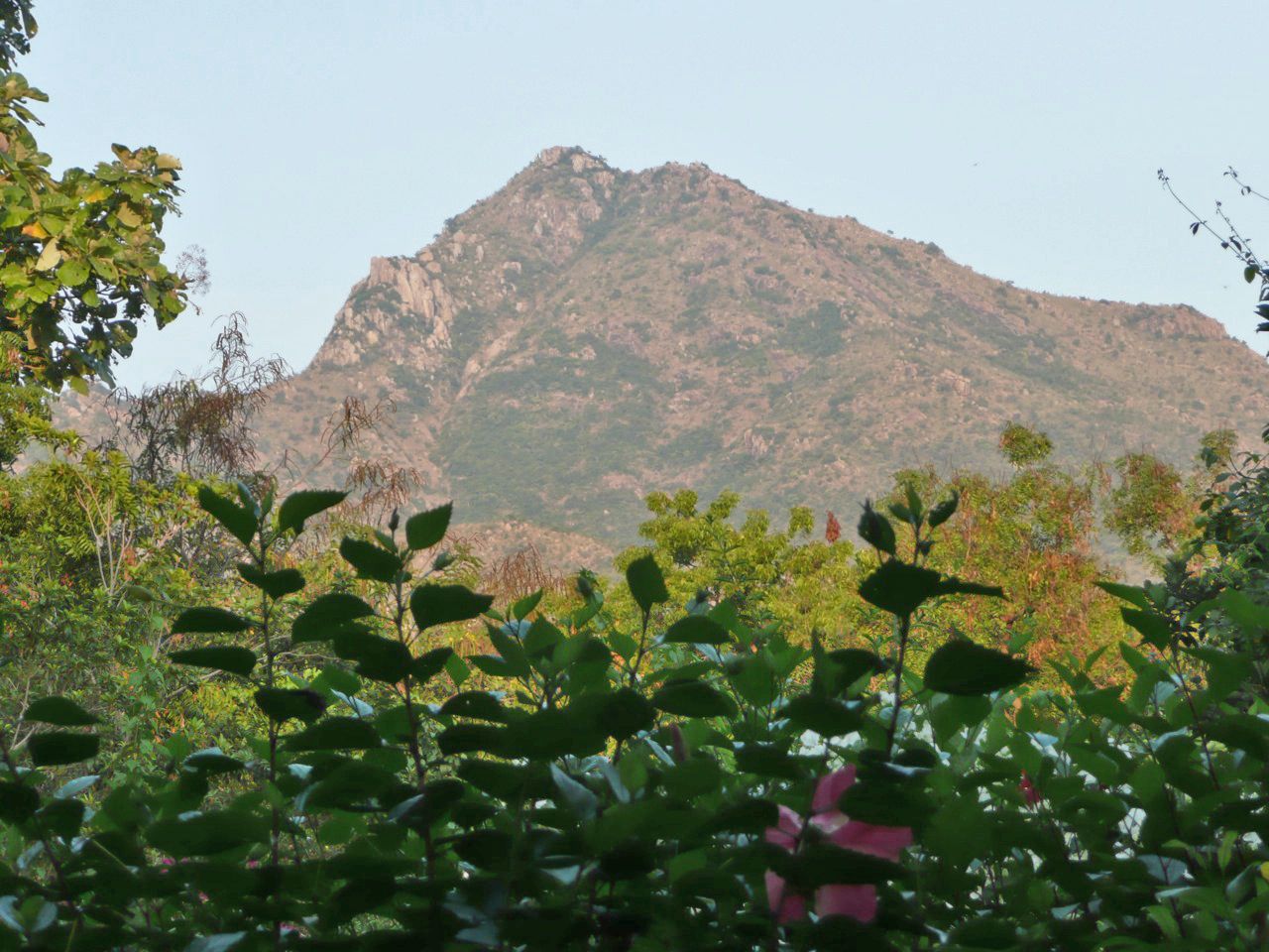 arunachala-152