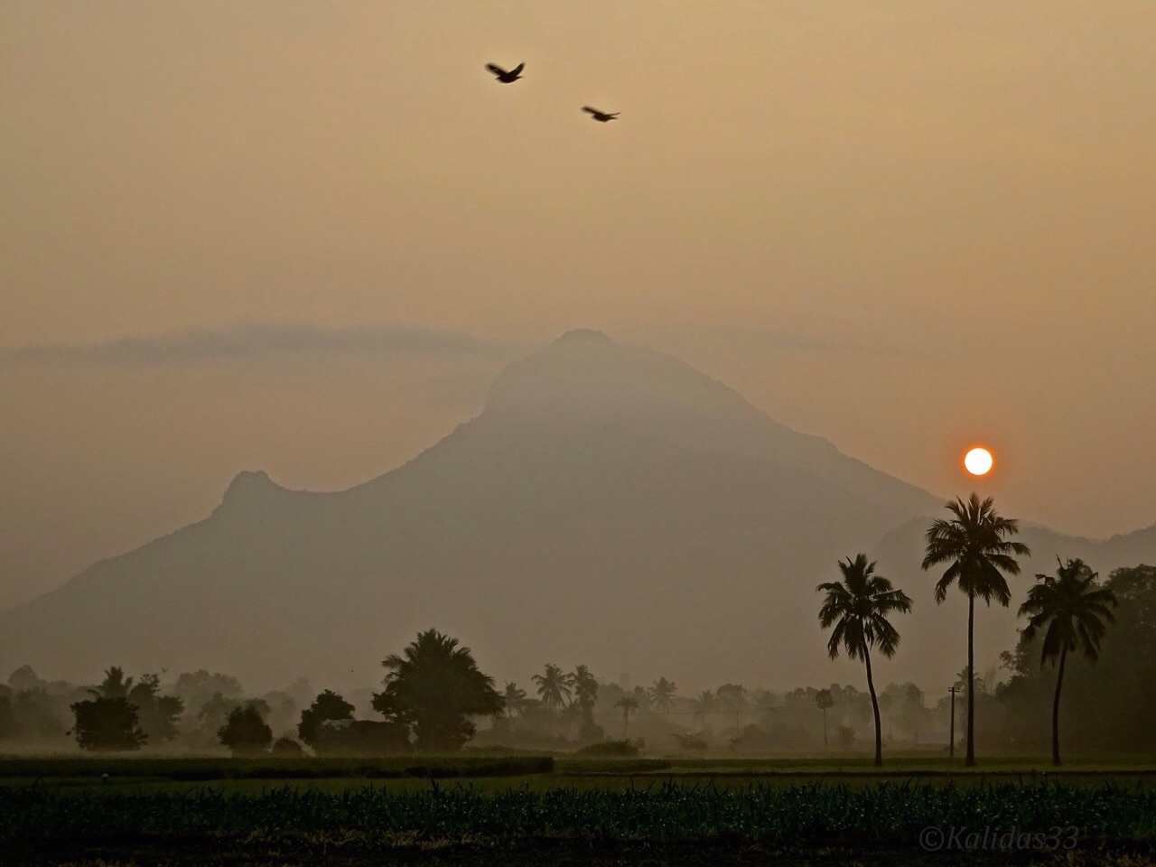 arunachala-189