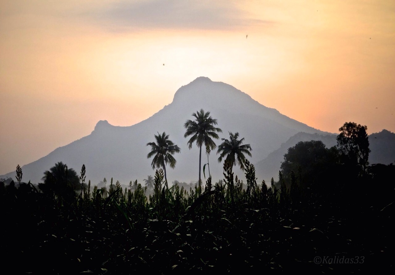 arunachala-197