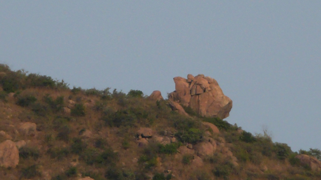 arunachala-202